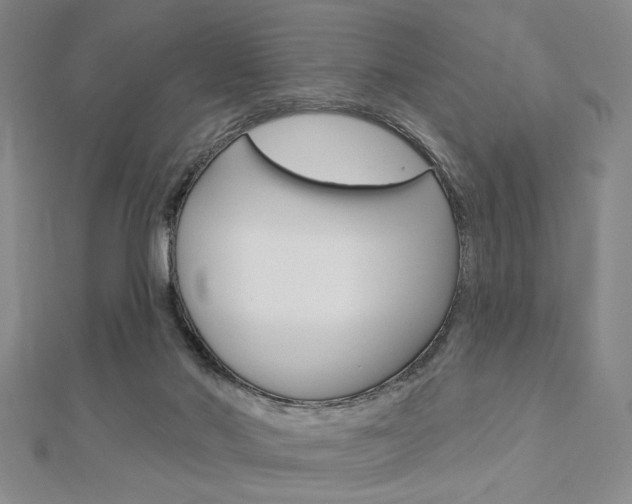 X0000112910022200908241019
