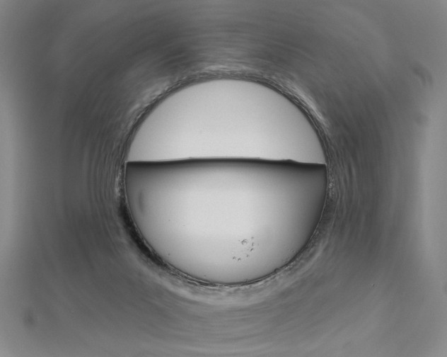 X0000112910023200908241019
