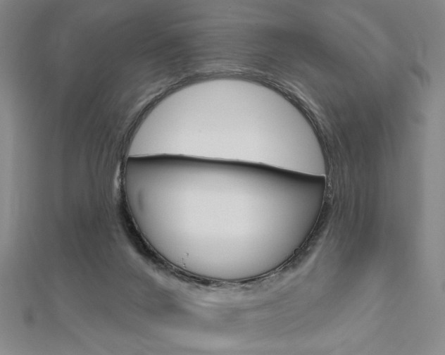 X0000112910024200908241019