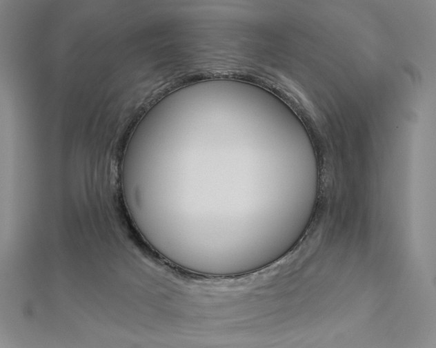 X0000112910025200908241019