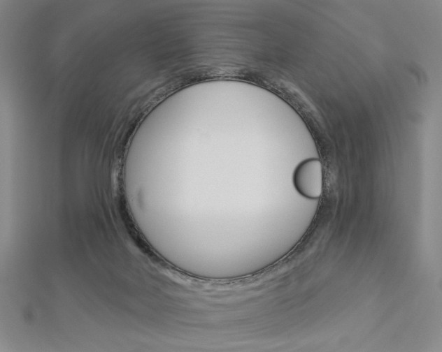 X0000112910026200908241019