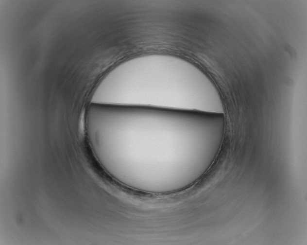 X0000112910028200908241019