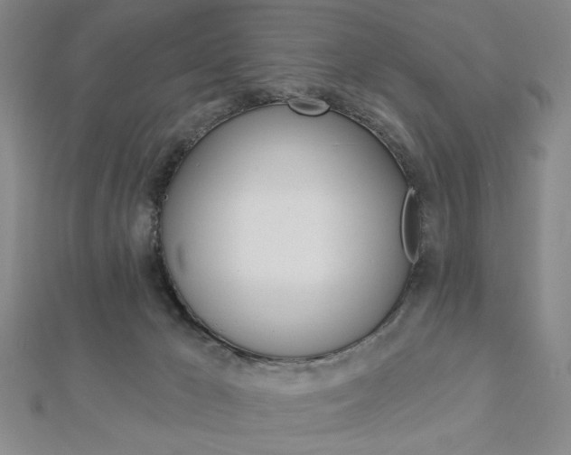 X0000112910029200908241019