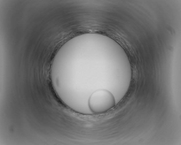 X0000112910030200908241019