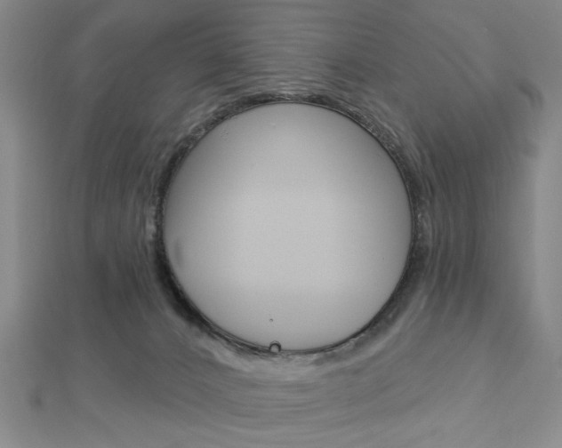 X0000112910032200908241019