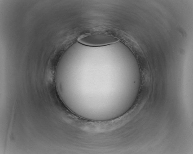X0000112910033200908241019