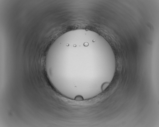 X0000112910034200908241019