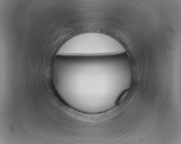 X0000112910035200908241019