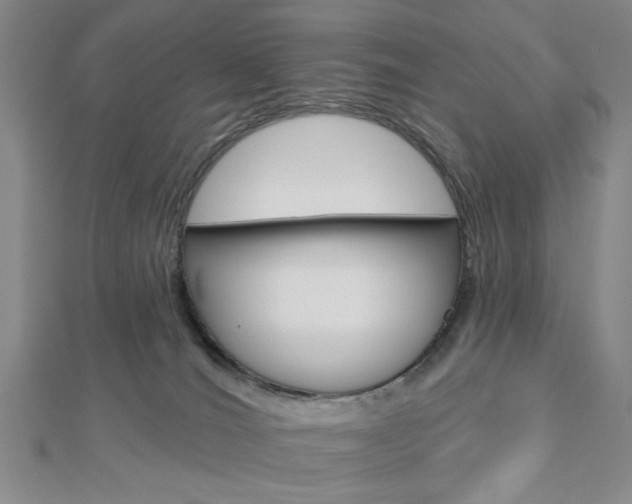 X0000112910036200908241019