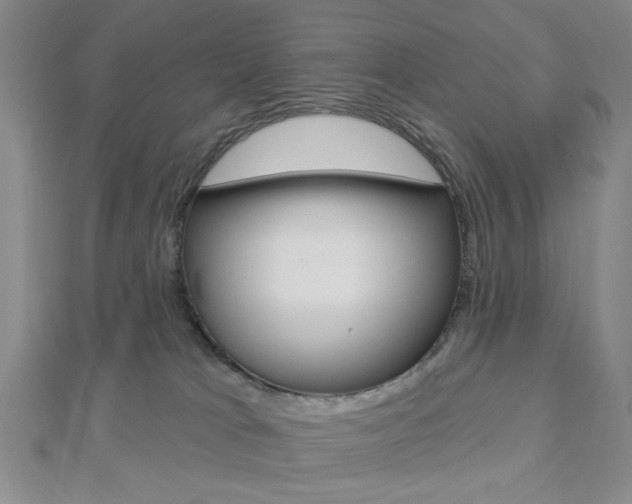 X0000112910037200908241019