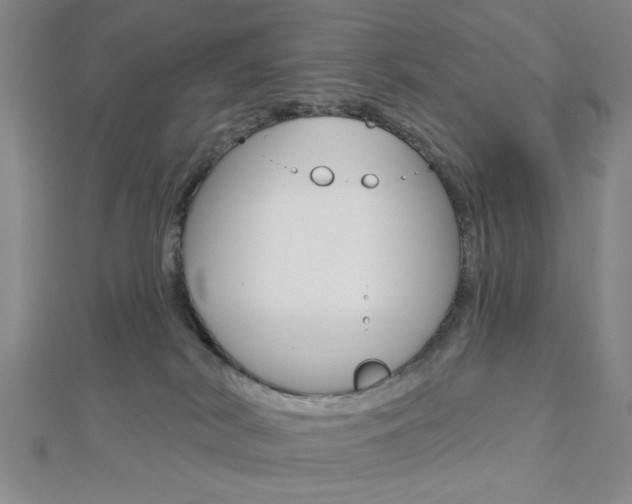 X0000112910038200908241019