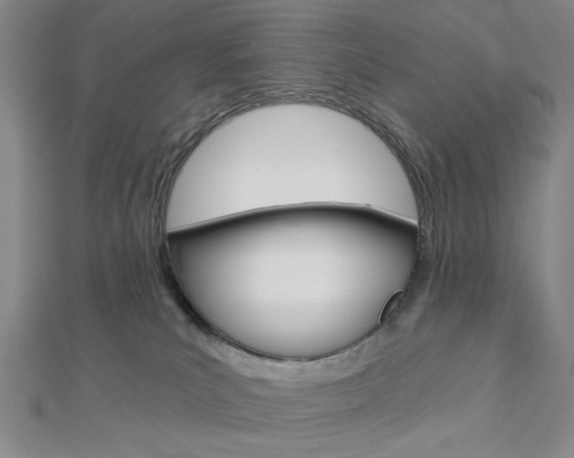X0000112910039200908241019