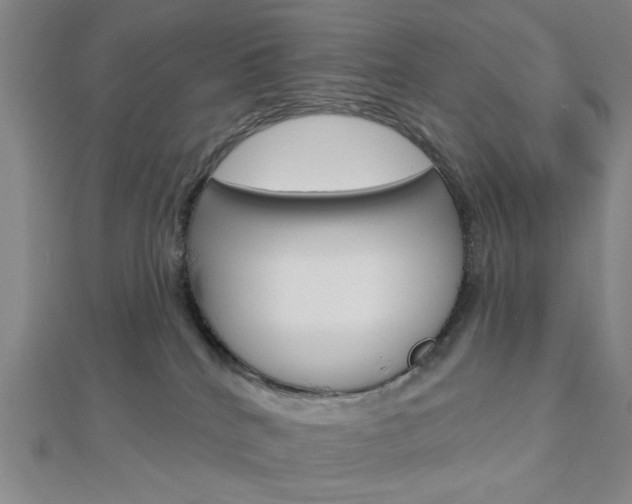 X0000112910040200908241018