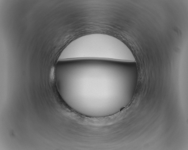 X0000112910041200908241018