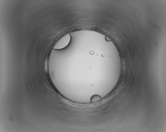 X0000112910042200908241018