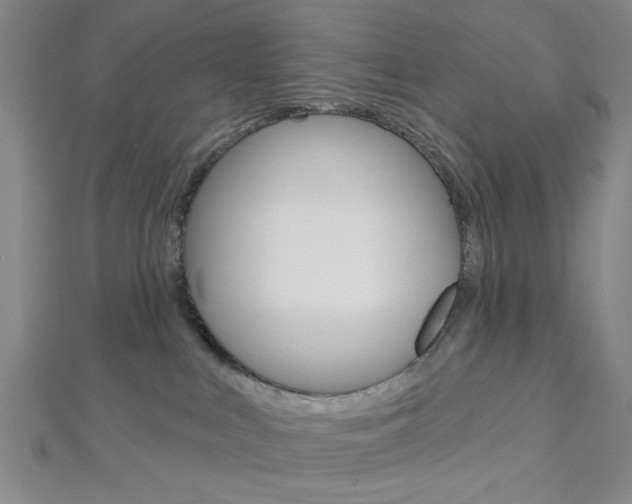 X0000112910043200908241018