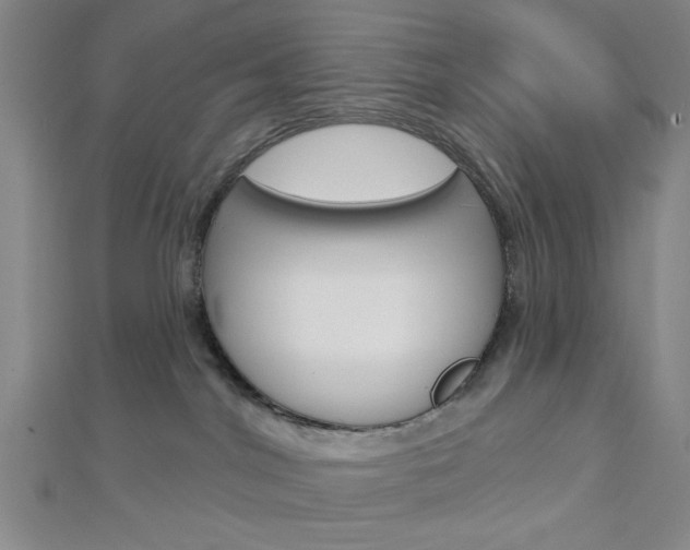 X0000112910044200908241018
