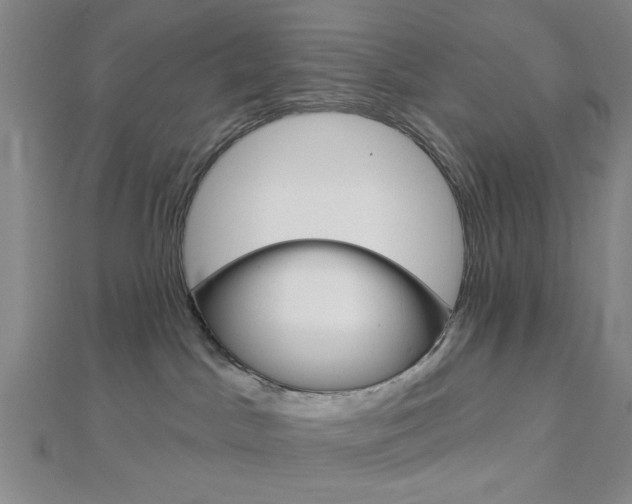 X0000112910045200908241018