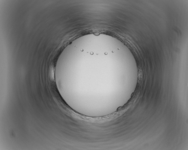 X0000112910046200908241018