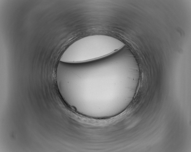 X0000112910048200908241018