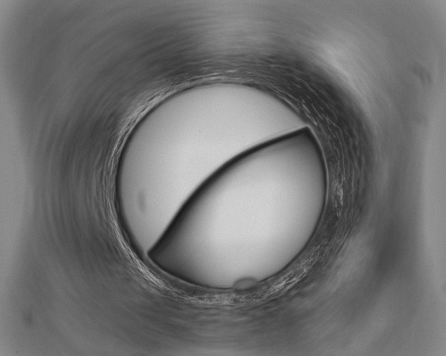 X0000112910049200908241017