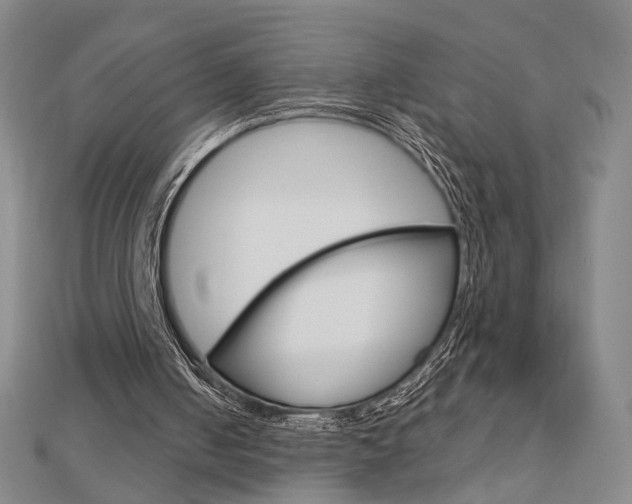 X0000112910050200908241018