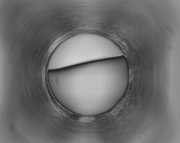 X0000112910051200908241018