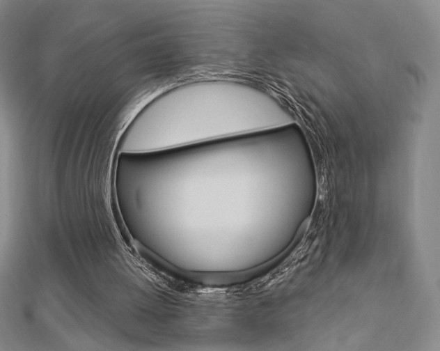 X0000112910052200908241018