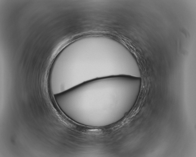 X0000112910053200908241018