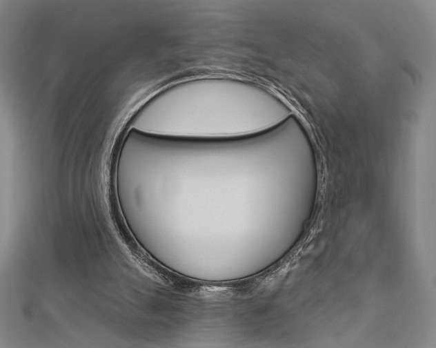 X0000112910055200908241018