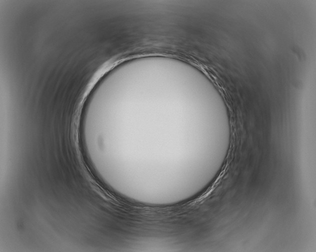 X0000112910056200908241018