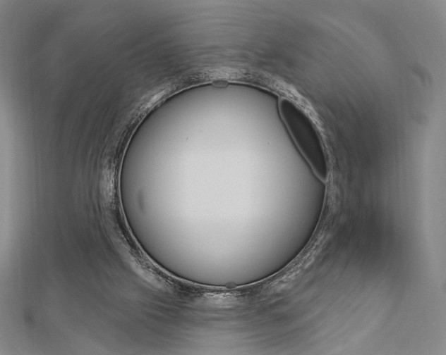 X0000112910057200908241018
