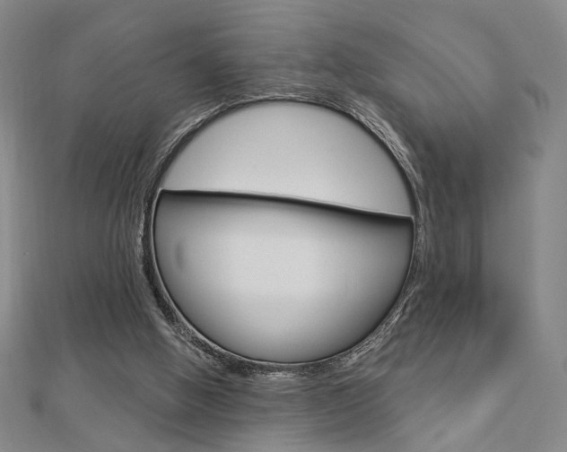 X0000112910058200908241018