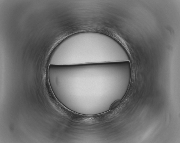 X0000112910059200908241018