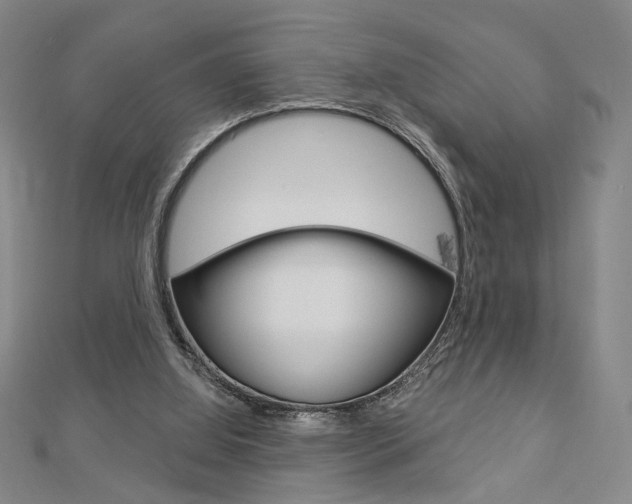X0000112910060200908241018
