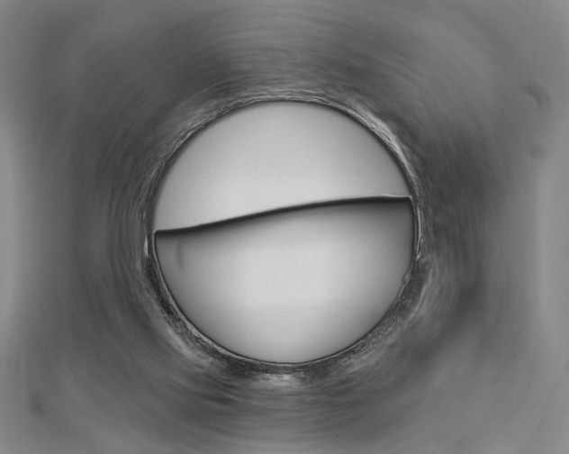 X0000112910061200908241018