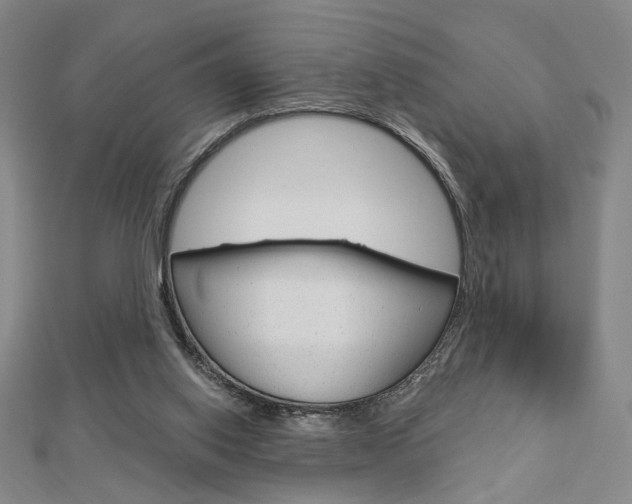 X0000112910062200908241018