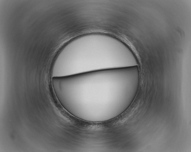 X0000112910063200908241018