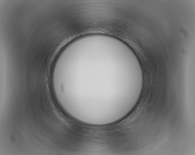 X0000112910064200908241018