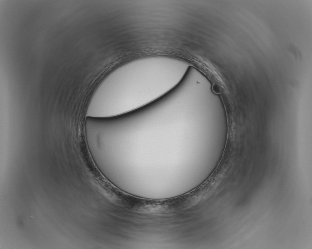 X0000112910065200908241018