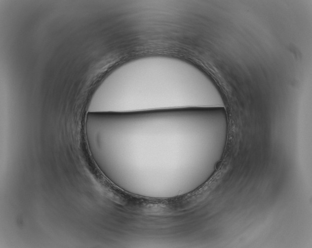 X0000112910066200908241018