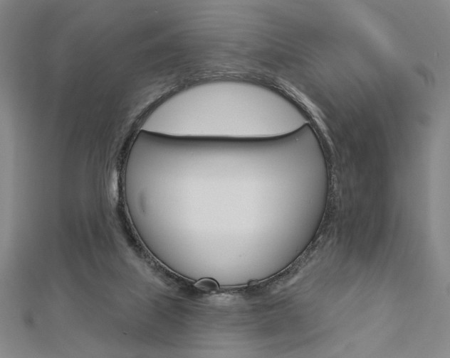 X0000112910067200908241018
