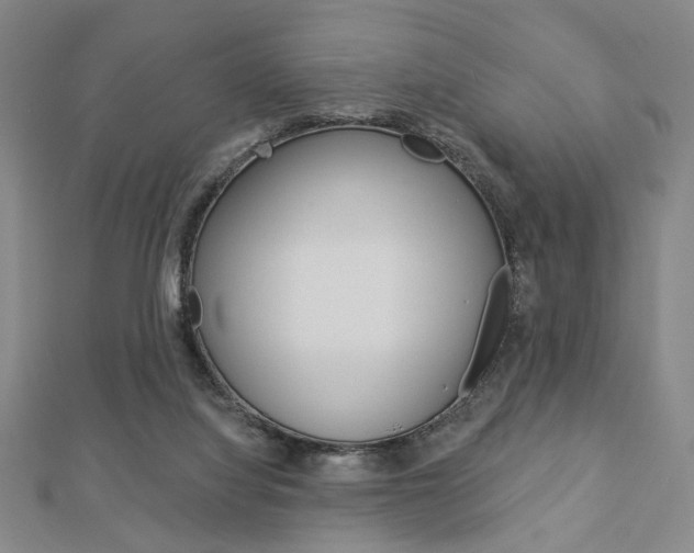 X0000112910068200908241018
