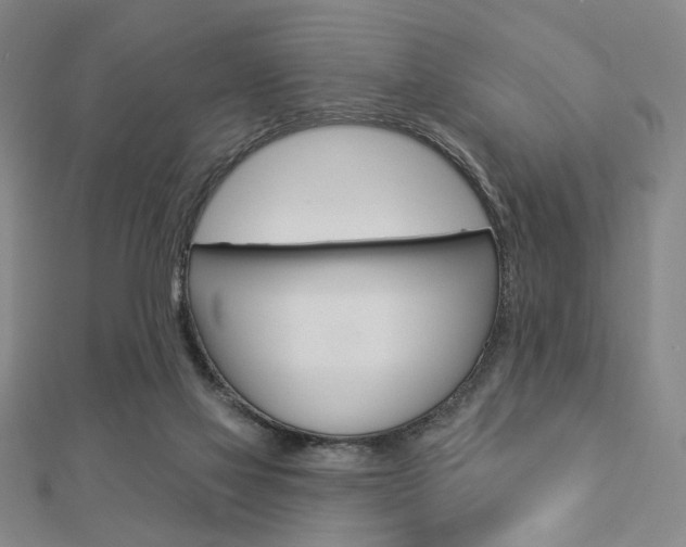 X0000112910069200908241018