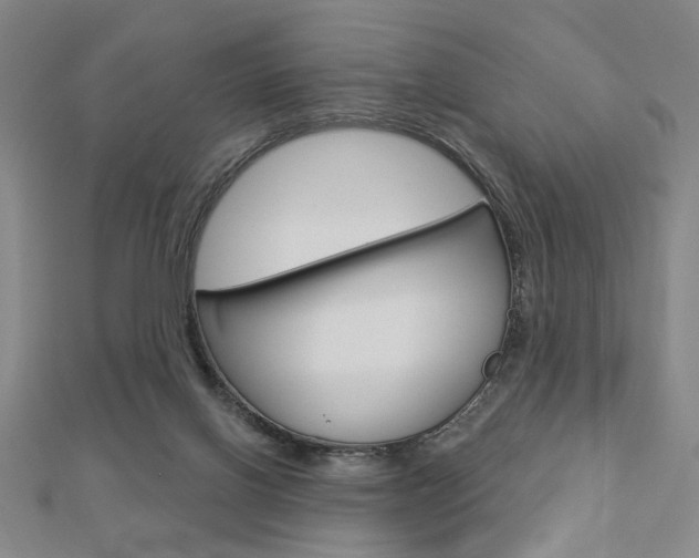 X0000112910070200908241018