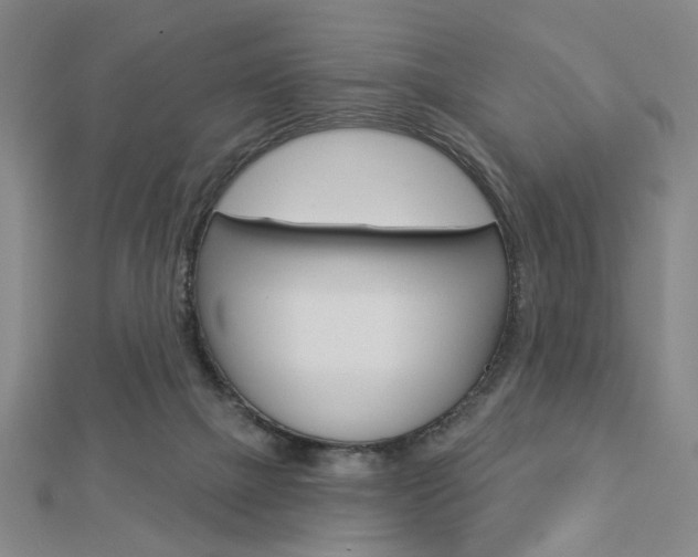 X0000112910073200908241018