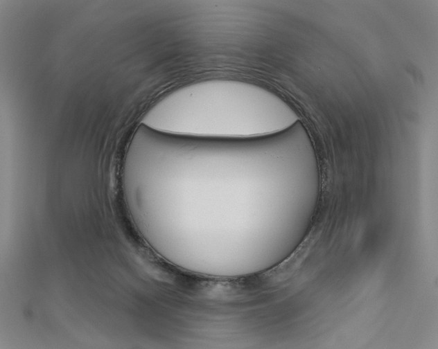 X0000112910074200908241018