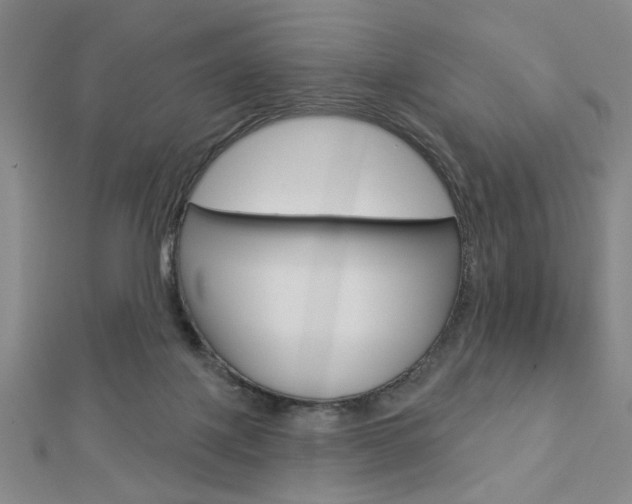 X0000112910075200908241018