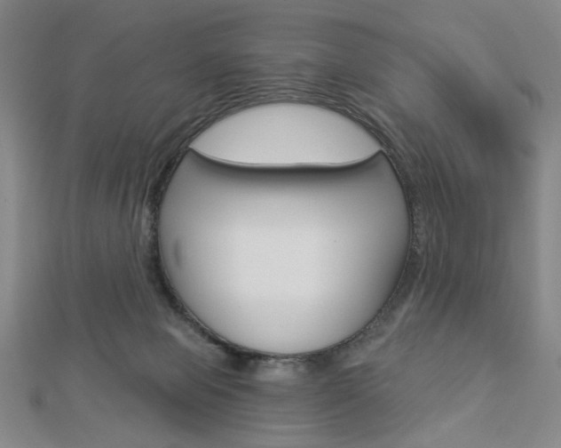 X0000112910077200908241018