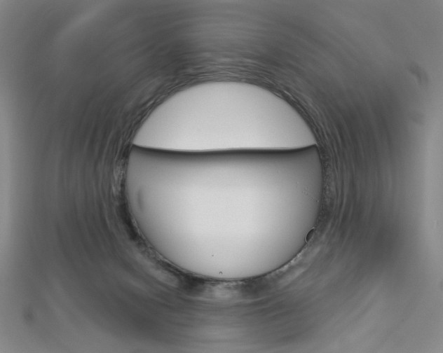 X0000112910078200908241018